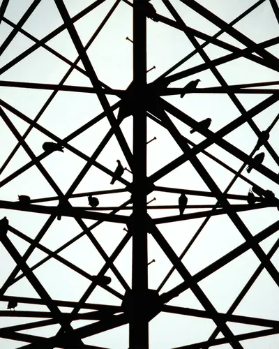 Photo 46.webp