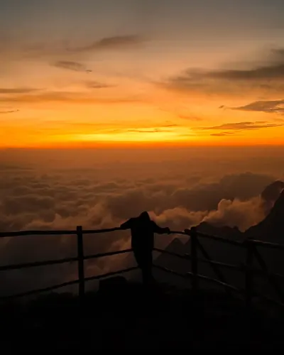 Photo 50.webp